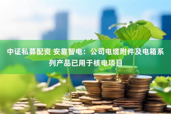 中证私募配资 安靠智电：公司电缆附件及电箱系列产品已用于核电项目